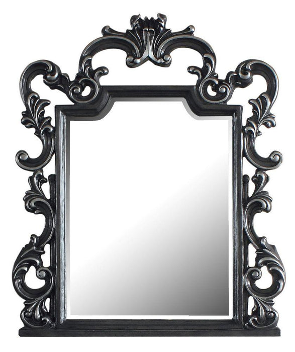 Acme Furniture House Delphine Mirror in Charcoal 28834 - Tony’s Furniture Store & Linen (GA) - Multi Location