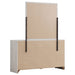 Brantford Dresser With Mirror - Tony’s Furniture Store & Linen (GA) - Multi Location