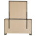 Wright Dresser With Mirror - Tony’s Furniture Store & Linen (GA) - Multi Location