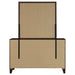 Welsley Dresser With Mirror - Tony’s Furniture Store & Linen (GA) - Multi Location