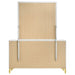Lucia Dresser With Mirror - Tony’s Furniture Store & Linen (GA) - Multi Location
