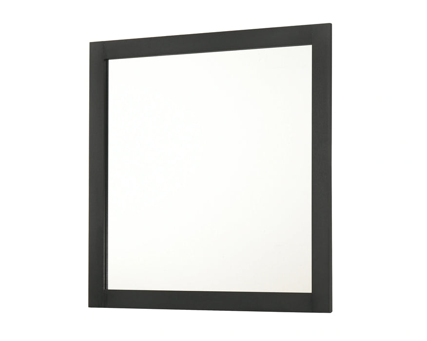 Nemy Dresser Mirror