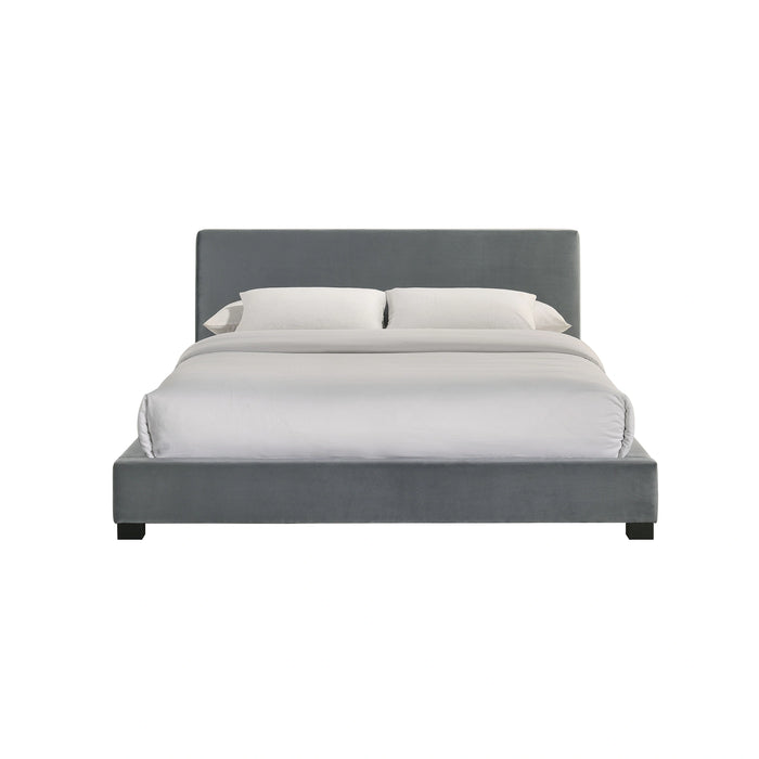 Brookhaven UPH Bed in Grey Velvet - Tony’s Furniture Store & Linen (GA) - Multi Location