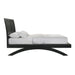 Allan Bed in Black - Tony’s Furniture Store & Linen (GA) - Multi Location