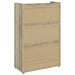 Denia Shoe Cabinet - Tony’s Furniture Store & Linen (GA) - Multi Location