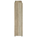 Denia Shoe Cabinet - Tony’s Furniture Store & Linen (GA) - Multi Location