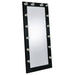 Zayan Floor Mirror with LED Lighting - Tony’s Furniture Store & Linen (GA) - Multi Location