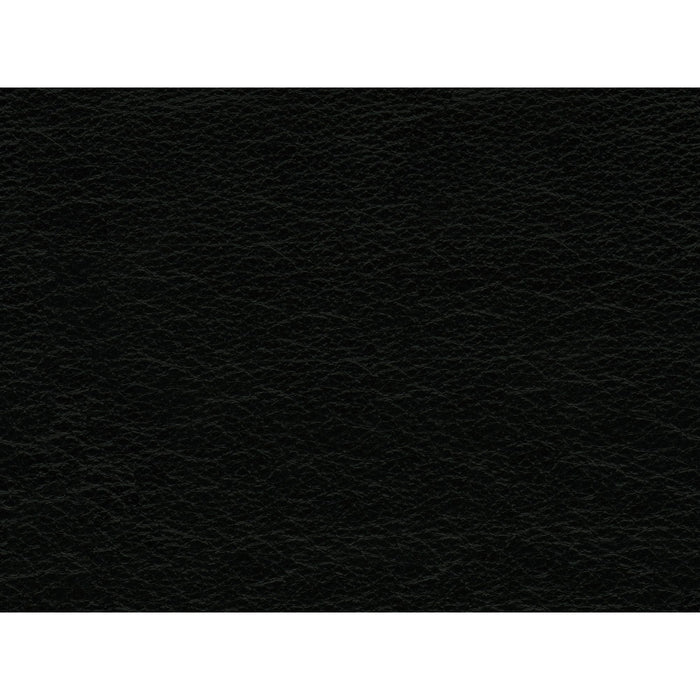 Hampton Sofa In Fiero (Top Grain/PVC) - Tony’s Furniture Store & Linen (GA) - Multi Location