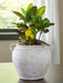 Meadie Vase - Tony’s Furniture Store & Linen (GA) - Multi Location