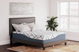 14 Inch Chime Elite 2.0 Mattress - Tony’s Furniture Store & Linen (GA) - Multi Location