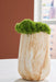 Cammen Vase - Tony’s Furniture Store & Linen (GA) - Multi Location