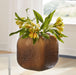 Capard Vase - Tony’s Furniture Store & Linen (GA) - Multi Location