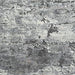 Wadyka 7'10" x 10'3" Rug - Tony’s Furniture Store & Linen (GA) - Multi Location