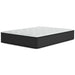 Palisades Plush Mattress - Tony’s Furniture Store & Linen (GA) - Multi Location
