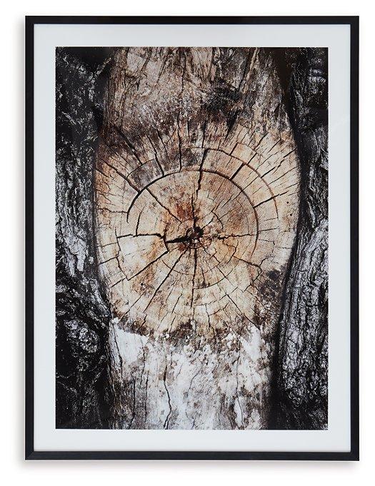 Freyburn Wall Art - Tony’s Furniture Store & Linen (GA) - Multi Location