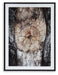 Freyburn Wall Art - Tony’s Furniture Store & Linen (GA) - Multi Location
