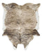 Sportsmen 6'5" x 7'11" Rug - Tony’s Furniture Store & Linen (GA) - Multi Location