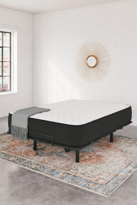 Limited Edition Firm Mattress - Tony’s Furniture Store & Linen (GA) - Multi Location