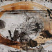 Clefting Wall Art - Tony’s Furniture Store & Linen (GA) - Multi Location