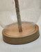 Clayleigh Table Lamp (Set of 2) - Tony’s Furniture Store & Linen (GA) - Multi Location