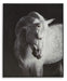 Archerwick Wall Art - Tony’s Furniture Store & Linen (GA) - Multi Location