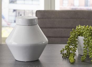 Domina Jar (Set of 2) - Tony’s Furniture Store & Linen (GA) - Multi Location