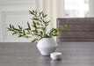 Domina Jar - Tony’s Furniture Store & Linen (GA) - Multi Location