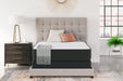 Limited Edition Firm Mattress - Tony’s Furniture Store & Linen (GA) - Multi Location