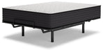 Limited Edition Firm Mattress - Tony’s Furniture Store & Linen (GA) - Multi Location