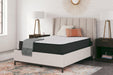 Limited Edition Firm Mattress - Tony’s Furniture Store & Linen (GA) - Multi Location
