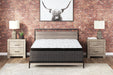 Ultra Luxury PT with Latex California King Mattress - Tony’s Furniture Store & Linen (GA) - Multi Location