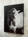 Archerwick Wall Art - Tony’s Furniture Store & Linen (GA) - Multi Location