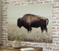 Brutus Wall Art - Tony’s Furniture Store & Linen (GA) - Multi Location