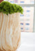 Cammen Vase - Tony’s Furniture Store & Linen (GA) - Multi Location