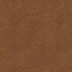 Carianna Loveseat - Tony’s Furniture Store & Linen (GA) - Multi Location