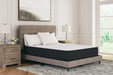 Limited Edition Plush Mattress - Tony’s Furniture Store & Linen (GA) - Multi Location