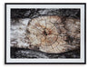 Freyburn Wall Art - Tony’s Furniture Store & Linen (GA) - Multi Location
