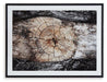 Freyburn Wall Art - Tony’s Furniture Store & Linen (GA) - Multi Location