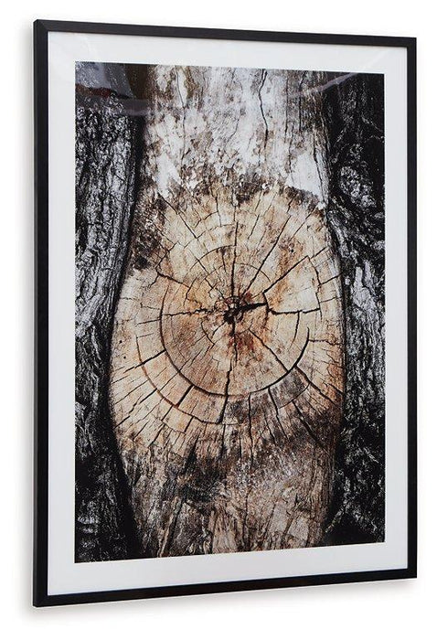 Freyburn Wall Art - Tony’s Furniture Store & Linen (GA) - Multi Location