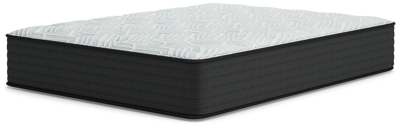 Palisades Plush Mattress - Tony’s Furniture Store & Linen (GA) - Multi Location