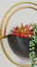 Tobins Wall Planter (Set of 3) - Tony’s Furniture Store & Linen (GA) - Multi Location