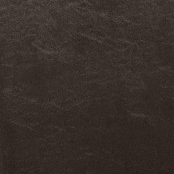 Kimonte Dining Chair - Tony’s Furniture Store & Linen (GA) - Multi Location