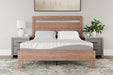 8 Inch Memory Foam RV Mattress - Tony’s Furniture Store & Linen (GA) - Multi Location