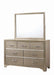 Beaumont Rectangular Dresser Mirror Champagne - Tony’s Furniture Store & Linen (GA) - Multi Location