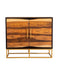 Zara 2-door Accent Cabinet Black Walnut and Gold - Tony’s Furniture Store & Linen (GA) - Multi Location