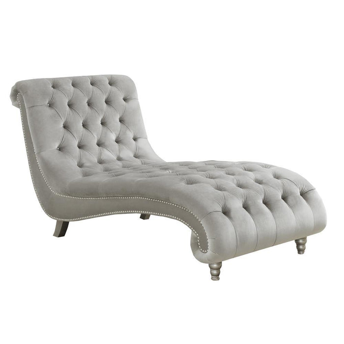 Lydia Tufted Cushion Chaise with Nailhead Trim Grey - Tony’s Furniture Store & Linen (GA) - Multi Location