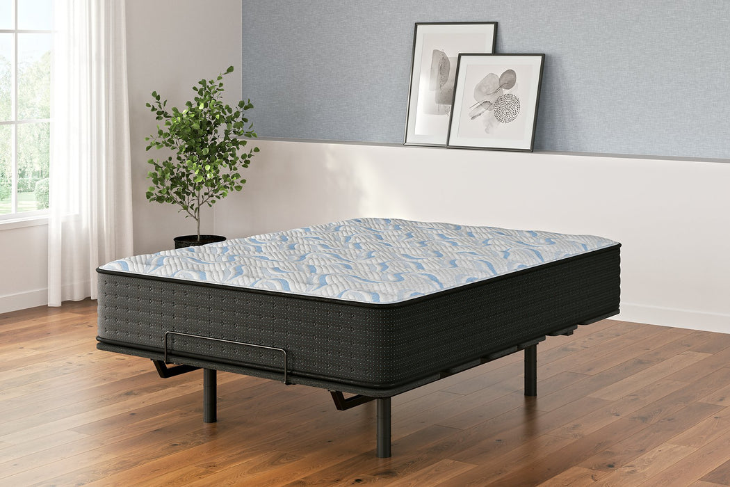 Elite Springs Plush Mattress - Tony’s Furniture Store & Linen (GA) - Multi Location