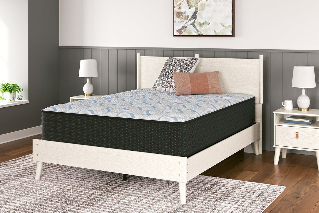 Elite Springs Plush Mattress - Tony’s Furniture Store & Linen (GA) - Multi Location