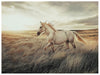 Errolville Wall Art - Tony’s Furniture Store & Linen (GA) - Multi Location
