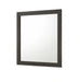 Crown Mark Furniture Remington Dresser Mirror in Brown image